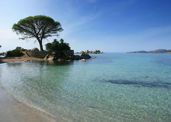 호텔 Golden Tulip Porto-vecchio 포르토베쉬오